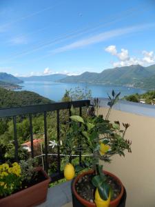 einen Balkon mit Blick auf einen Wasserkörper in der Unterkunft Lago Maggiore holiday house, lake view, Vignone in Dumenza