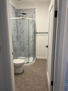 y baño con ducha de cristal y aseo. en Deerpark luxury 3 bed retreat, en Cashel