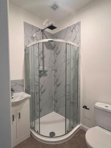e bagno con doccia, servizi igienici e lavandino. di Deerpark luxury 3 bed retreat a Cashel