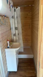 a small bathroom with a shower and a sink at Glempings lāčuks 