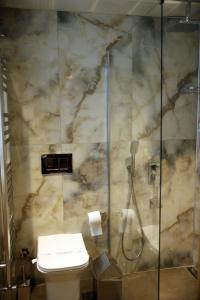 uma casa de banho com um chuveiro e um WC. em Amorium Hotel em Kastamonu