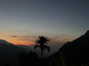 a palm tree on a mountain at sunset at Blooming Rose Ella in Ella