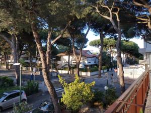 a street with cars parked on a street with trees at Casa Dorita - Free Coffee Corner 8-12 in Cervia