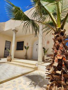 a palm tree in front of a building at Villa Nour Kélibia in Kelibia