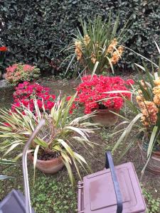 Gambar di galeri bagi SOGNO Vacanze di Massa