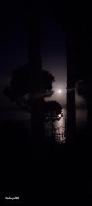 una vista notturna dell'oceano con la luna in lontananza di Datca Villa Carla Hotel a Datça