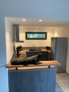 Kuchyň nebo kuchyňský kout v ubytování Villa 4 personnes - 2 chambres - Figari