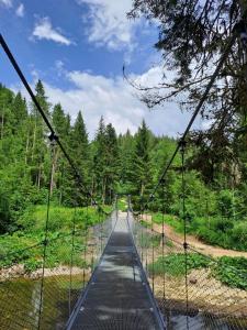 L'Oréline au cœur de la région des Lacs du Jura في Pont-de-Poitte: جسر معلق فوق نهر في غابة