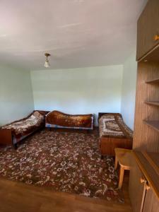 ein Wohnzimmer mit 2 Betten und einem Teppich in der Unterkunft У тети Сони in Tscholponata