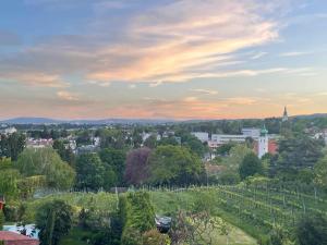 une vue sur une ville avec un tas de vignes dans l'établissement Herrlicher Ausblick über Wien, à Vienne
