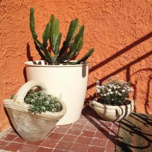 Foto dalla galleria di B&B Cheap Holidays a Sorso