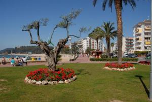 a park with a tree and flowers in a park at Antillas Fenals Apartment in Lloret de Mar in Lloret de Mar