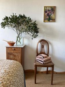 a chair in a room with a plant on the wall at Chambres d'Hôtes Manoir Du Chêne in Nonant