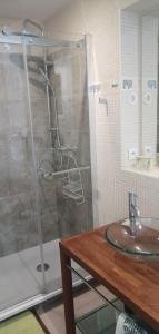 Les TailladesにあるGite des Tailladesのバスルーム(シャワー、シンク、カウンター付)