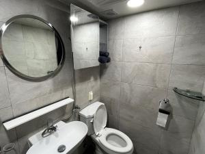 La salle de bains est pourvue de toilettes, d'un lavabo et d'un miroir. dans l'établissement green house room 103, à Séoul
