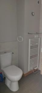 a bathroom with a white toilet in a room at Bordl'o in Aurec-sur-Loire +21 photos