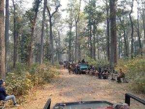 Eine Gruppe von Menschen, die eine Elefantenherde beobachten, die auf einer unbefestigten Straße entlang läuft. in der Unterkunft Jungle Base Camp in Bardiyā