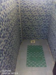 a shower stall with a green frog on the floor at Top tier A 01 in Nakuru