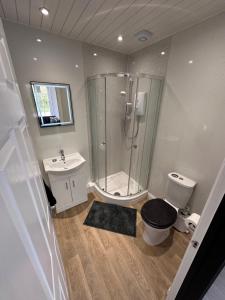 a bathroom with a shower and a toilet and a sink at The Penruddocke Arms in Dinton