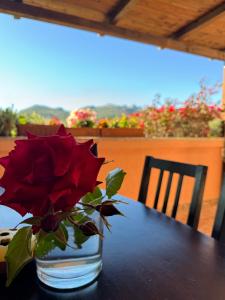 una rosa roja en un jarrón sobre una mesa en Casa Angelo en Palau