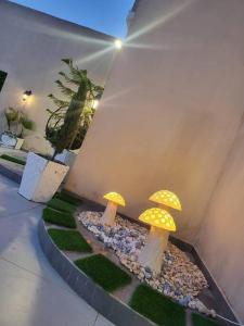 Galeriebild der Unterkunft La Seema sea view chalet in Madaba