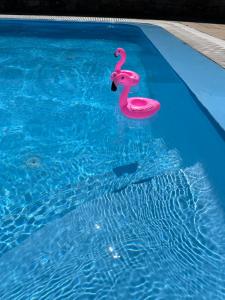 a pink flamingo float in a swimming pool at Grace Villa Mykonos in Mikonos