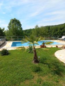 a palm tree in a yard next to a swimming pool at Haus Sylvia in Frutten