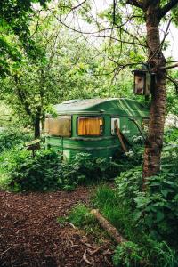 a green van parked in the woods next to a tree at Luxe Glamping Tent in West-Friesland in Venhuizen