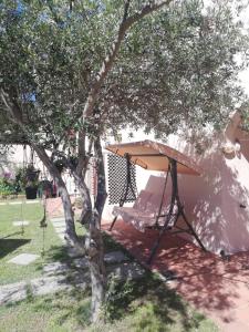 a hammock under a tree next to a tent at Nico 12 in Santa Luria