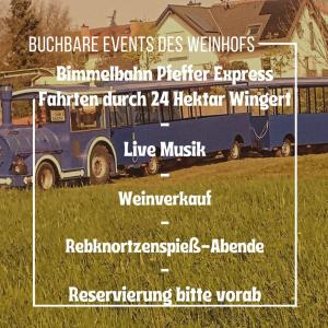 Galeriebild der Unterkunft Apartment Weinhof Pfeffer in Klingenmünster