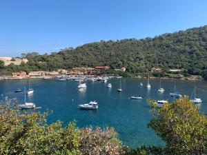 Príroda v okolí apartmánu