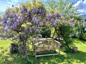 a bench sitting under a tree with purple flowers at Apartments Krista in Seeboden