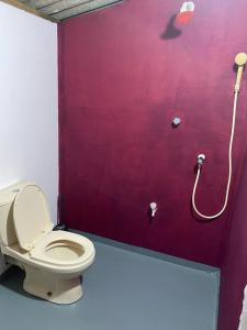 a bathroom with a toilet and a purple wall at Bamboo Bay in Arugam Bay
