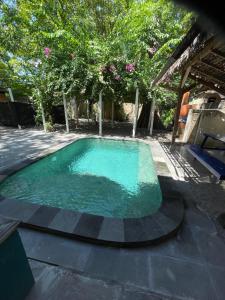 a small swimming pool in a yard with trees at Elephant House and Bungalows Gili Air in Gili Air