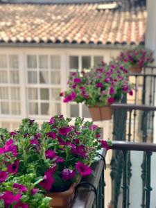 a bunch of flowers in pots on a balcony at Casa Celsa-Barbantes in Santiago de Compostela