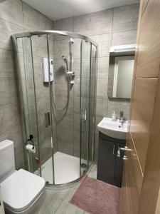 a bathroom with a shower and a toilet and a sink at New 2 bedroom first floor apartment close to beach in Southbourne