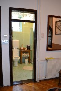 un bagno con un water e un lavandino di Apartman Gluhović a Sombor