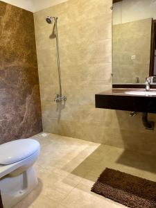 a bathroom with a toilet and a sink and a mirror at Vintage Hut Dunga Gali in Abbottabad