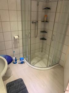 baño con ducha y puerta de cristal en FeWo Meikoe, en Eisleben