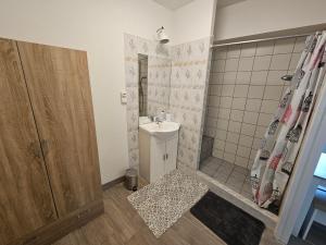 La petite salle de bains est pourvue d'un lavabo et d'une douche. dans l'établissement Maisonnette du Relais de Vauchamps, 