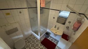 een badkamer met een douche, een toilet en een wastafel bij Pension Göppner in Bad Neustadt an der Saale