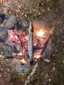 a fish sitting on a grill next to a fire at Schwedisches Bauernhaus in Jörn