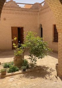 a brick building with two potted trees in a courtyard at Maison d'hôtes "Dar Khalifa" in Tozeur
