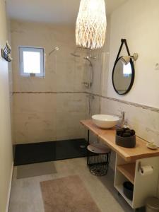 uma casa de banho com um lavatório, um chuveiro e um espelho. em GITE DE MIRAUVILLE em Apremont-la-Forêt