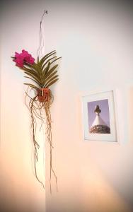 a plant hanging on a wall next to a picture at Porto Antico in Bari