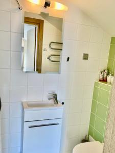 a bathroom with a sink and a mirror at Simono Vila in Palanga