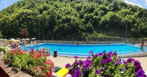 a large swimming pool with a mountain in the background at StradaFacendo B&B in Valbravenna