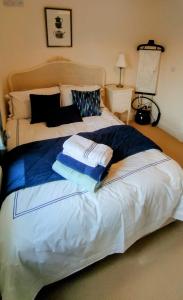 ein Bett mit zwei Kissen darauf in einem Schlafzimmer in der Unterkunft Lough Rynn in Mohill