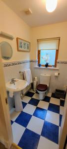 ein Bad mit einem WC und einem Waschbecken in der Unterkunft Lough Rynn in Mohill