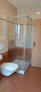 a bathroom with a shower with a toilet and a glass shower stall at Adriana Apartment in Mali Lošinj +29 photos